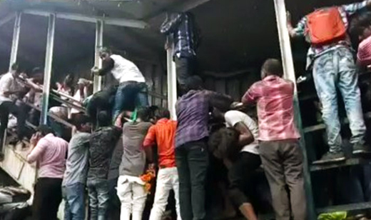 Elphinstone Stampede
